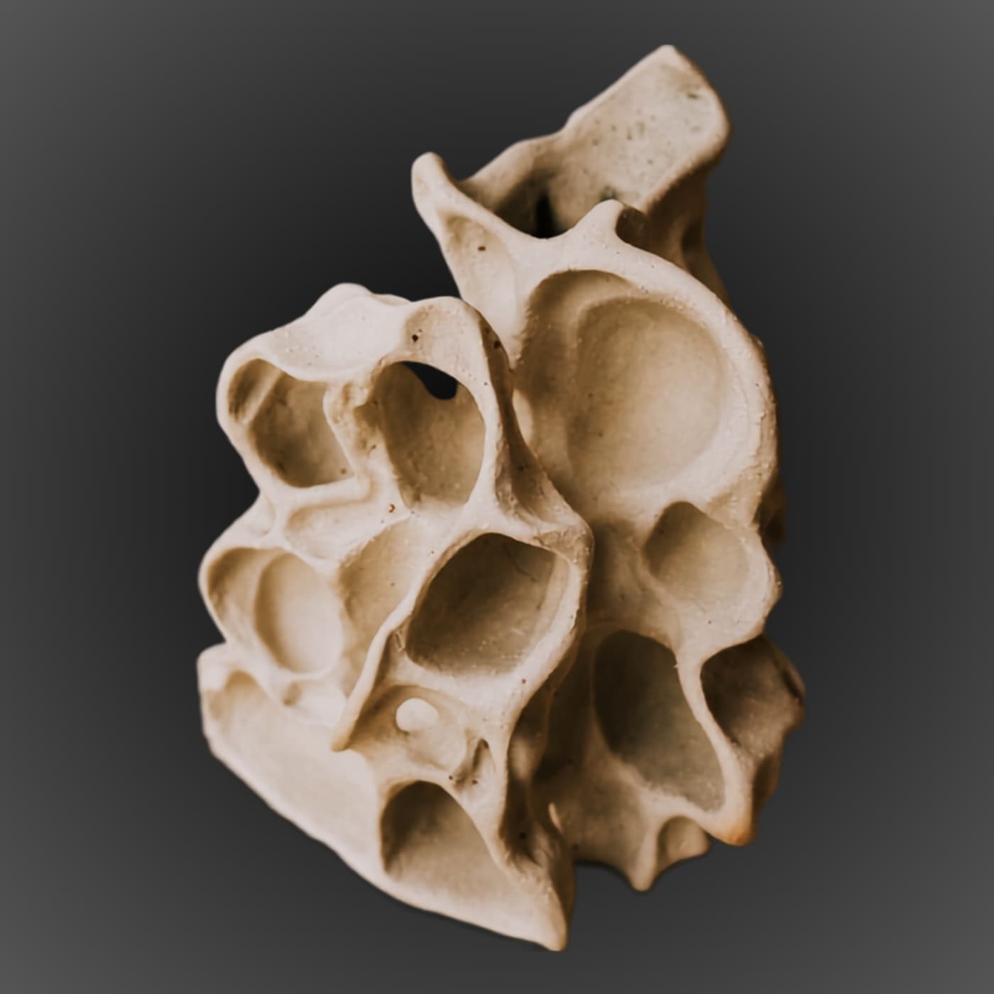 Handbuilt stoneware vase with organic porous structure. Unglazed exterior, glazed interior. Intuitive handbuilding by ceramist Przemysław Gołębiewski, Berlin. One of a kind.